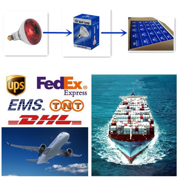 Transport of 250w red heat lamp bulb