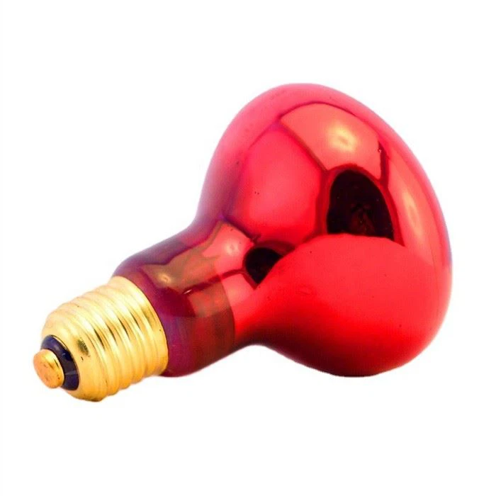 Infrared Warming Lamp